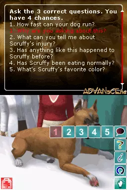 Image n° 3 - screenshots : Pet Pals - Animal Doctor